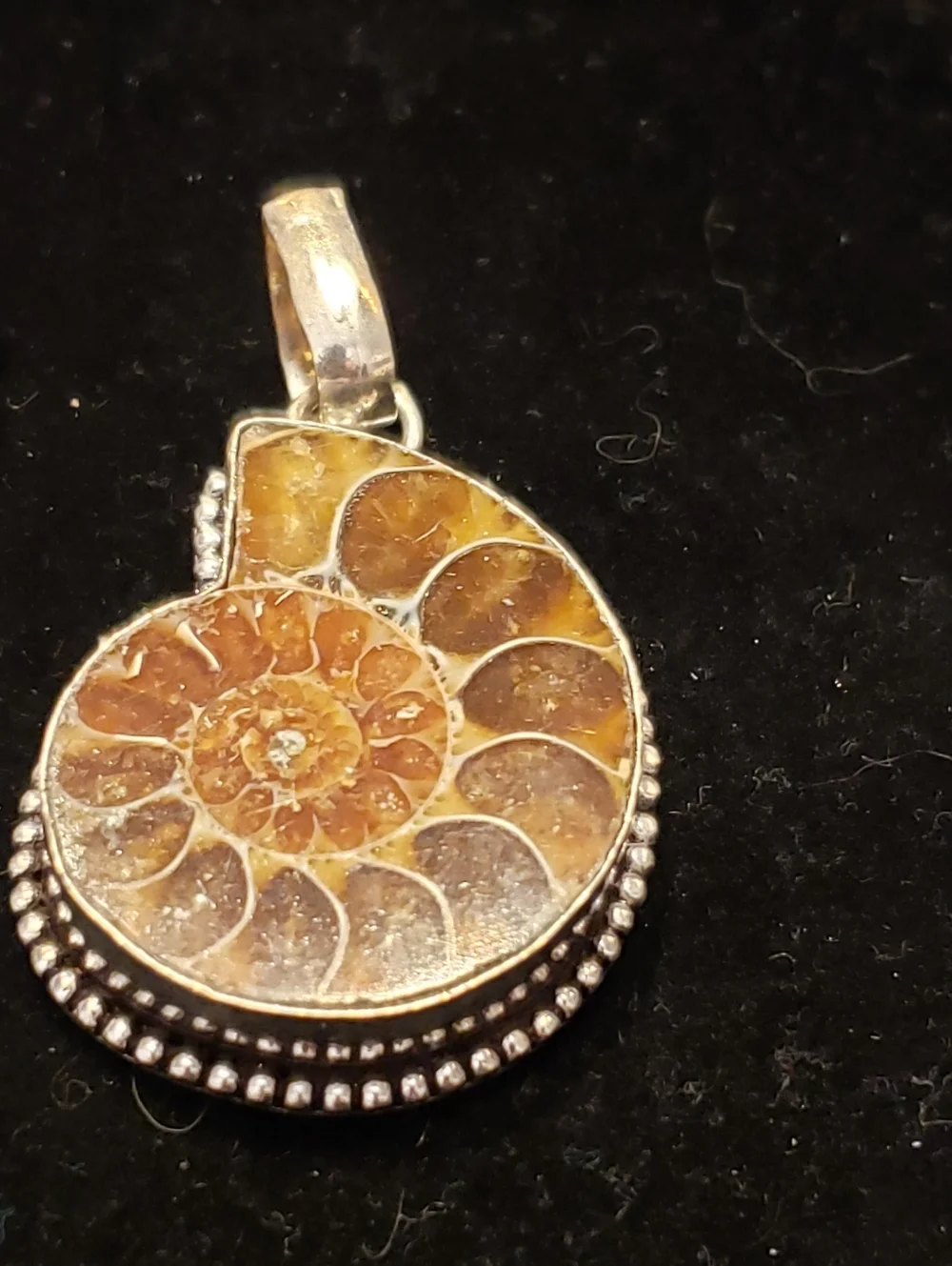 NEW Ammonite Fossil & Sterling Pendant, Polished & Stamped 925. Bisected Fossil. - Picture 2 of 4